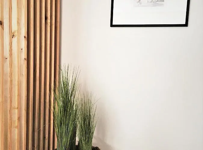 Cardeal & 4* פארו